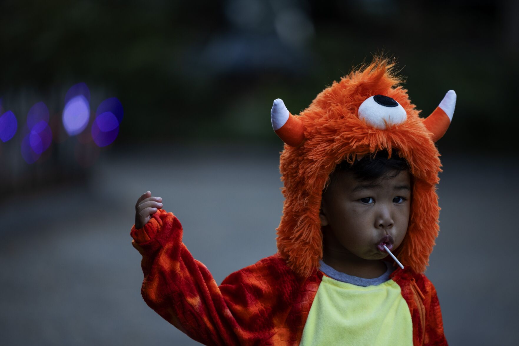 Boo at the Zoo